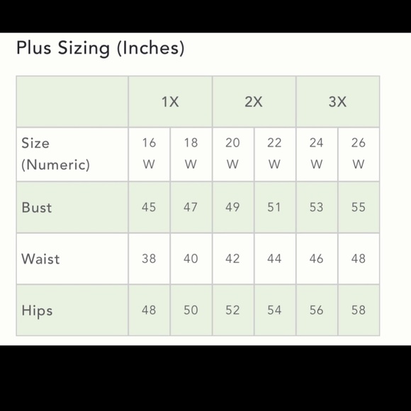 Anthropologie Chandail Selene Pilcro NWT SZ L, 1X, 2X - Picture 12 of 12